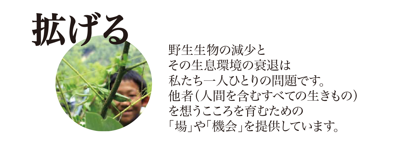 バナー02
